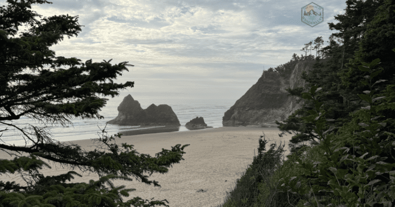 Quiet Oregon Coast beach (Arch Cape) with driftwood and sea stacks at golden hour