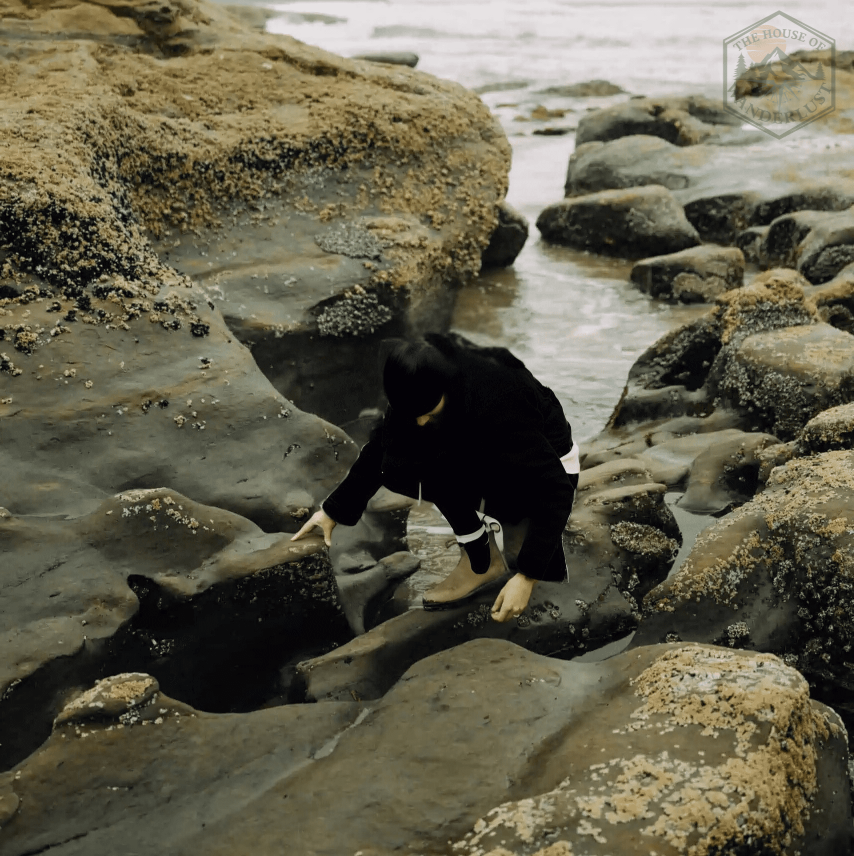 Visitor observing Oregon Coast tide pools responsibly without touching marine life.