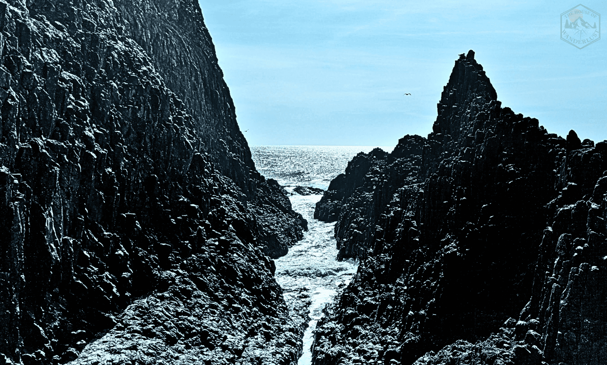 Tiered basalt shelves at Seal Rock showing Oregon Coast tide pool zonation patterns.